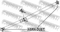 ASRNDUST