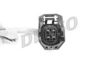 DOX0331