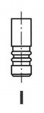 R6186BM