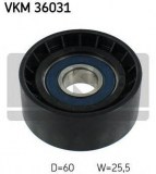 VKM36031
